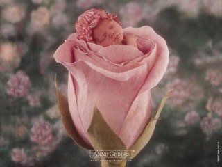 FARID FERRAGUI **AAmi ***