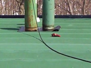 Roofing Contractors Ontario Sibbald Roofing