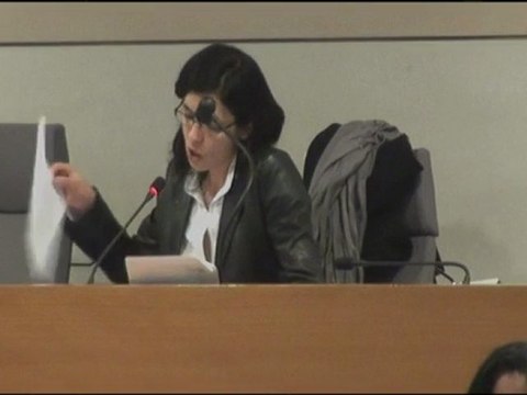 Séance plénière 17/11/11 : Programme d'équipements sportifs des lycées