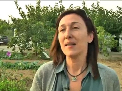 TV3 - La Marató de TV3 - Fragment d' Em dónes vida