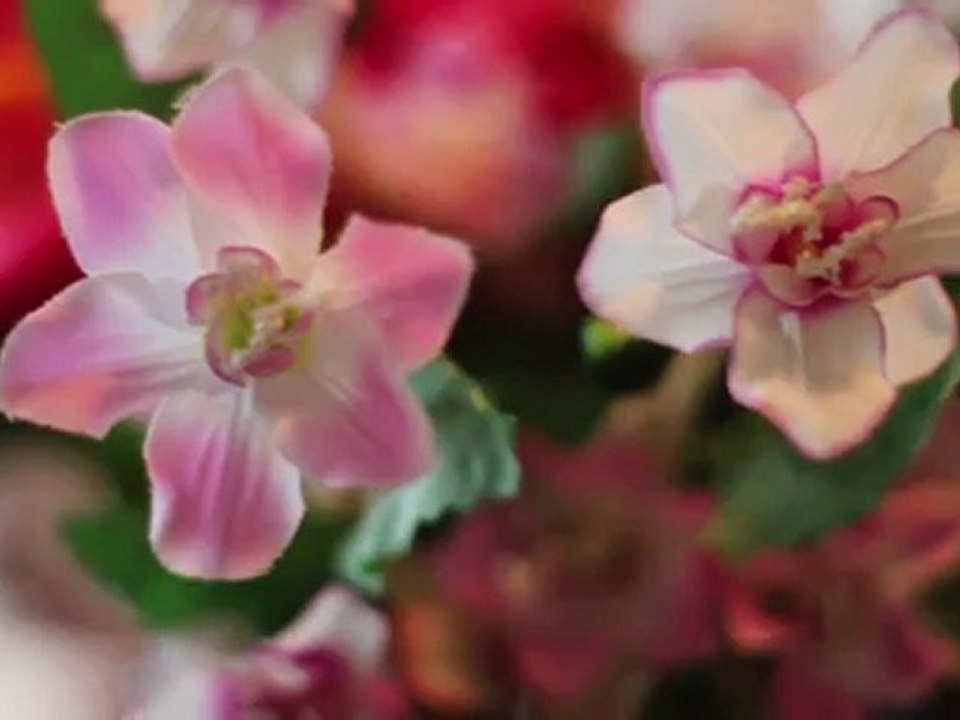 Evo Canada helps Femmes Averties / Women Aware with new fundraising solutions!