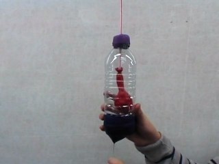 Modélisation de l'appareil respiratoire - SVT 5ème