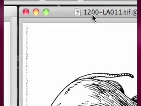 Photoshop - perf-040-02 - numérisation et colorisation de dessin