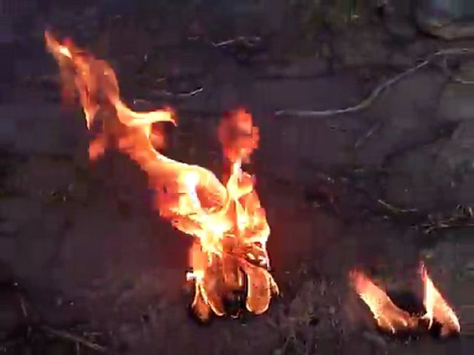 Fire- HTC 7 Mozart