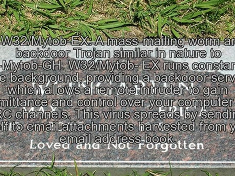 Some Recent Computer Viruses