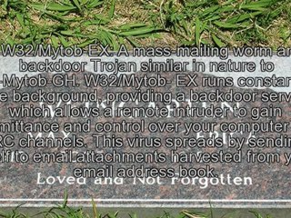 Some Recent Computer Viruses