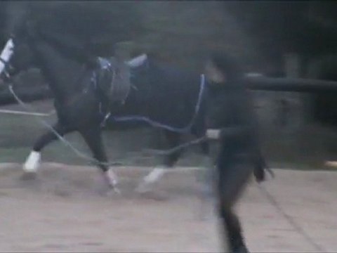 Les premiers trots allongés