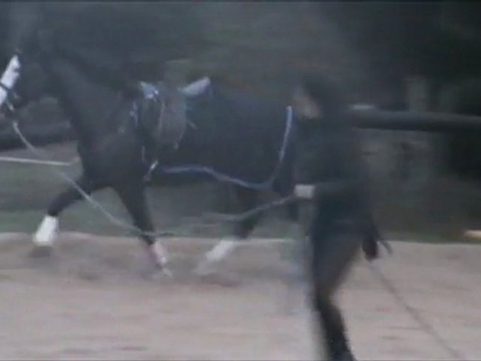 Les premiers trots allongés