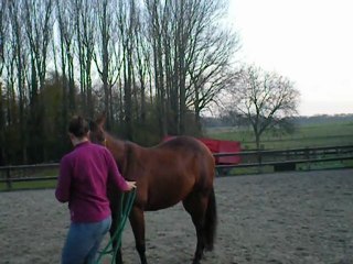 Un peu de travail au sol: "flexion"