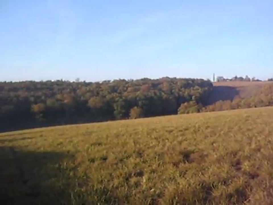 Chasse à tir au renard, dans le Gers
