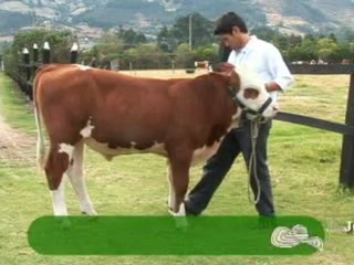 3_HACIENDA SANTA ISABEL NOVIEMBRE 19 DE 2011