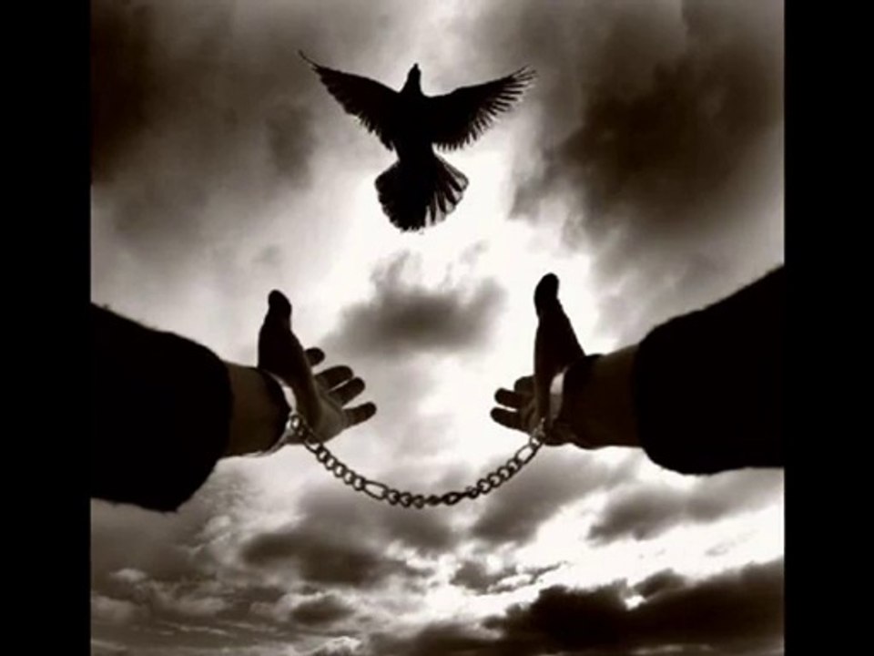 ELİF REYYA NAZ-YILDIRAY COŞKUN-SİMSİYAH     ELLERİN KAN KOKUYOR