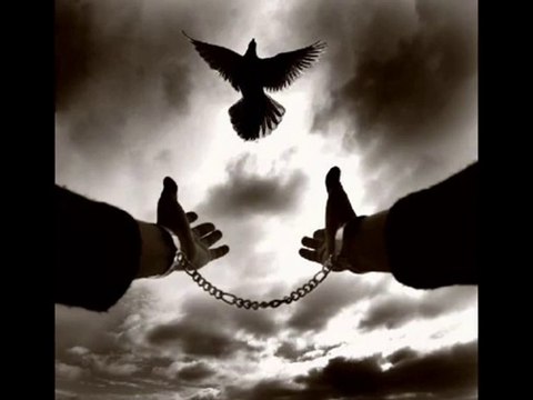 ELİF REYYA NAZ-YILDIRAY COŞKUN-SİMSİYAH ELLERİN KAN KOKUYOR