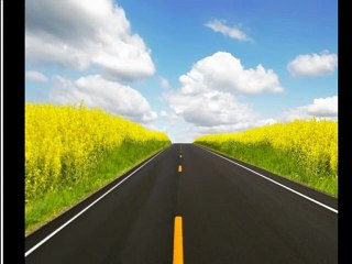 Gestión del talento humano y fortalezas