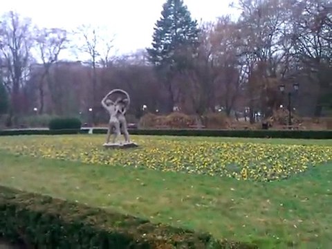 Moja okolica cz.7 - Palmiarnia Łódź