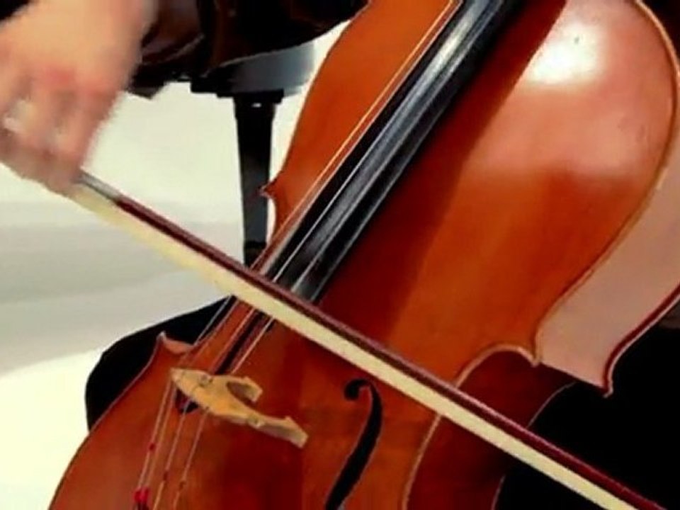 David Guetta - Without You ft. Usher - (Piano/Cello) Cover