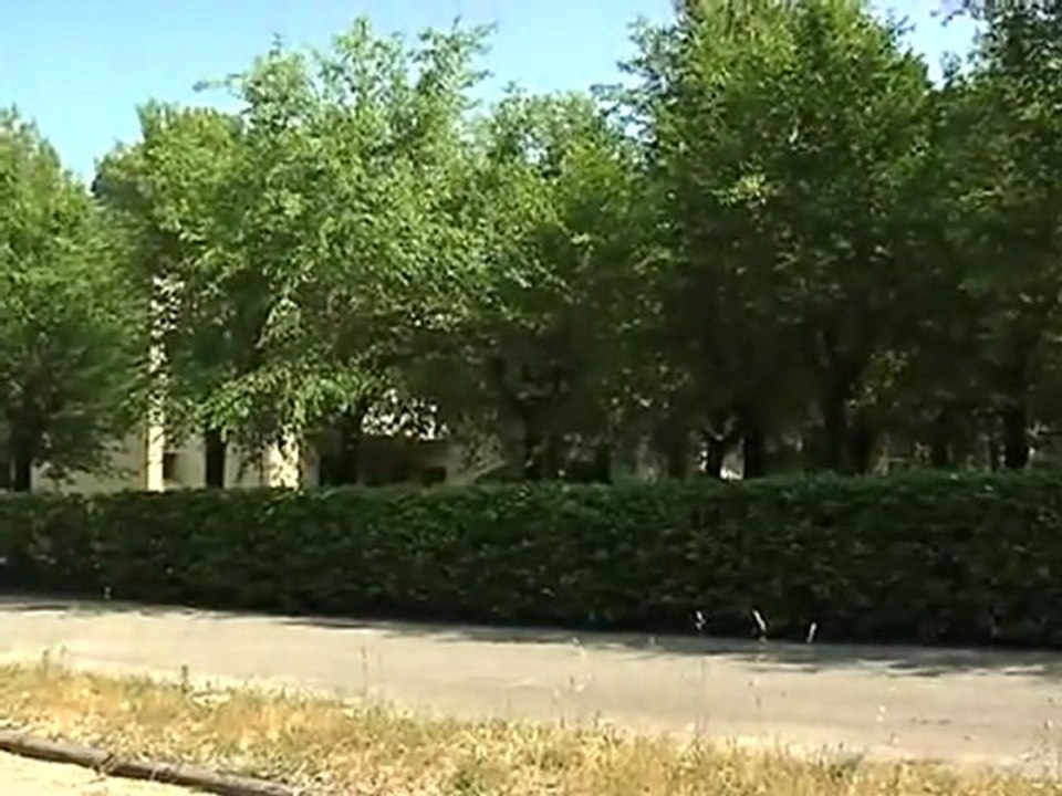 RAZZIA DI AUTOBUS TURISTICI