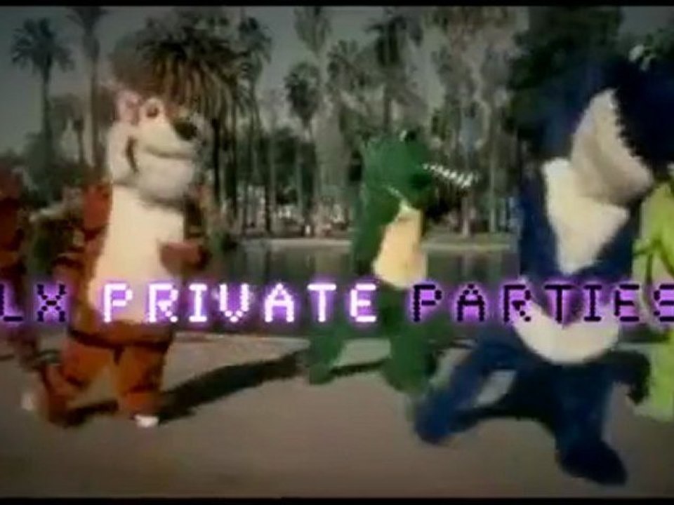 Dança como te apetecer!