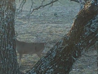 Ike's Outdoors Webisode 4: Texas Hunt Part 2