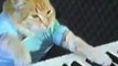 Play Him Off, Keyboard Cat! (balls)