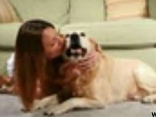 Newport Beach Pet Stain Removal Service -- Call 714-825-0767