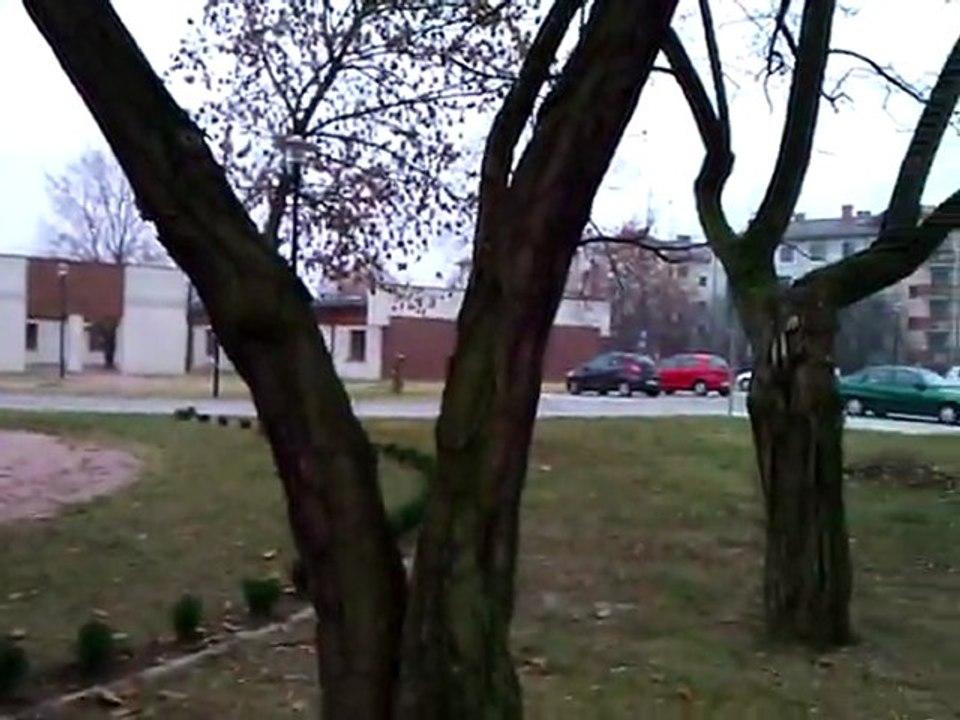 Teren "firmy" w której pracuje, też mojej "okolicy"...