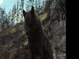 The Twilight Saga Breaking Dawn Part 1a400