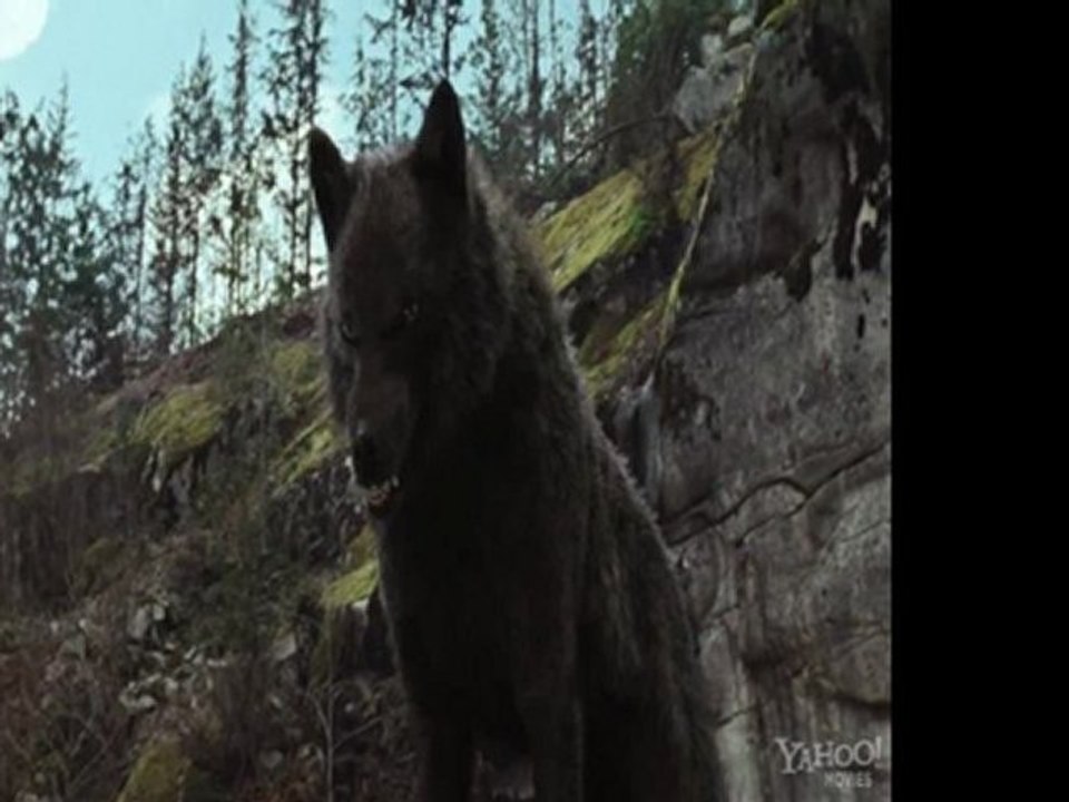 The Twilight Saga Breaking Dawn Part 1a288