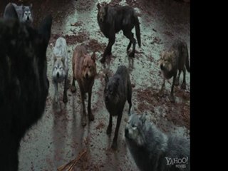 The Twilight Saga Breaking Dawn Part 1 (2011) full free movie HD