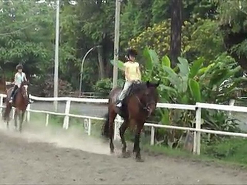 Equitation
