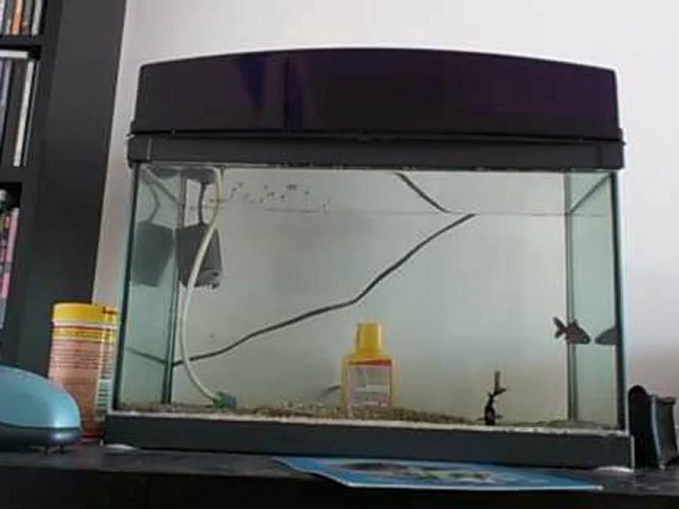 IP webcam on xperia  ray