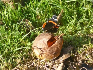 Entrez en plein coeur de la nature