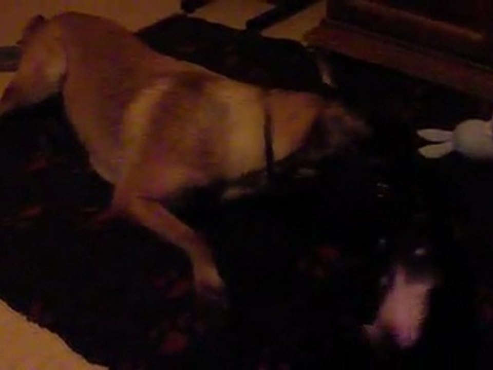 Une E.D.P et Une D.S.N c'est extra quand c ensemble PTDR