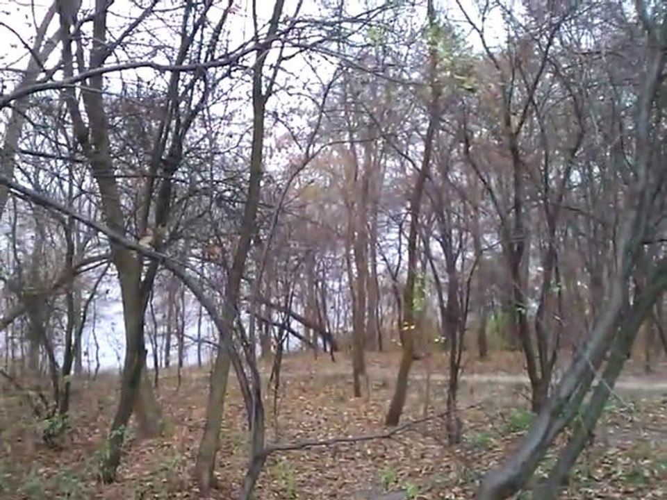 WP_20111119_092507Z