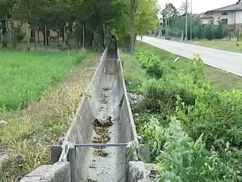 SCHIANTO NELLA NOTTE, MUORE OPERAIO