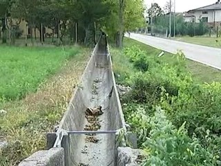 SCHIANTO NELLA NOTTE, MUORE OPERAIO