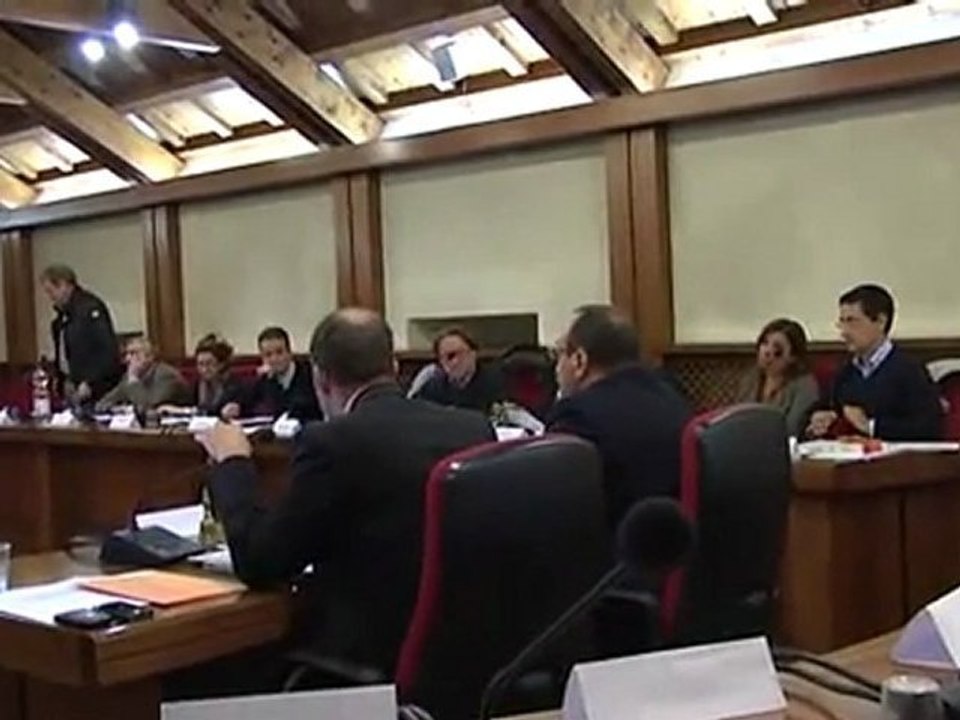 DIMISSIONI IN CONSIGLIO, PDL MUTO