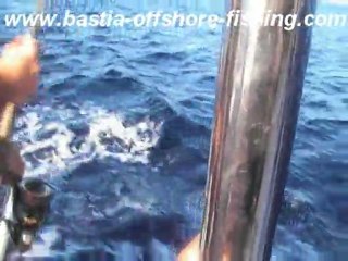 thon rouge en vertical, projet handicap session 3 by Bastia Offshore Fishing Club