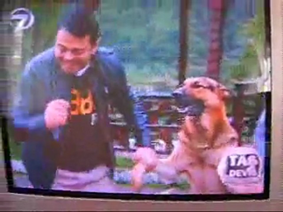 karadeniz köpeği horon teperse..haber17Tv