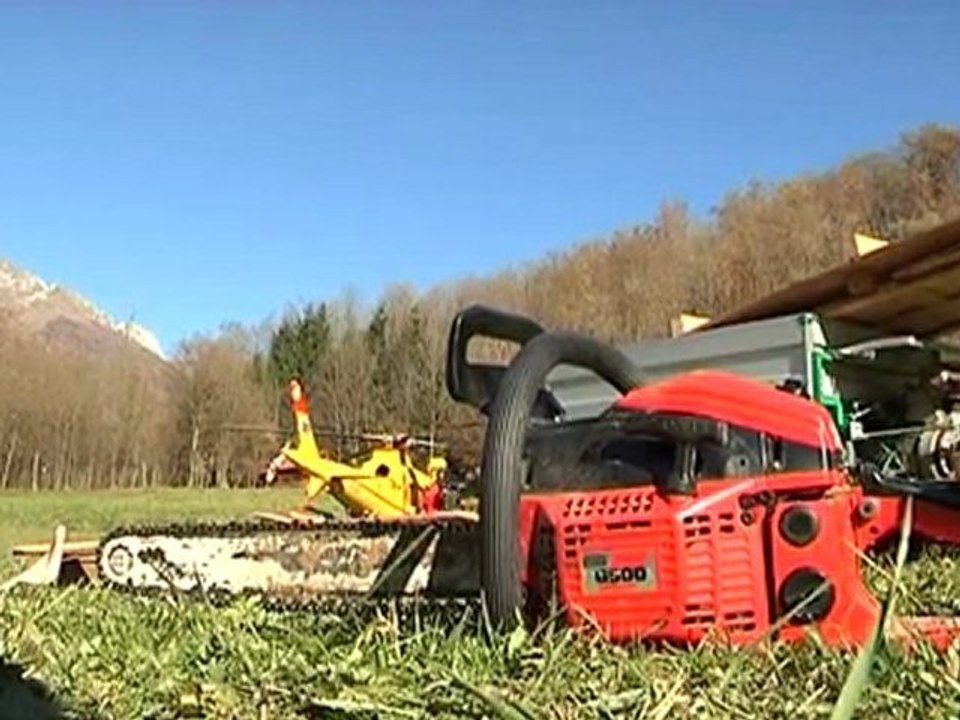 TRAVOLTO E UCCISO DA UN ALBERO