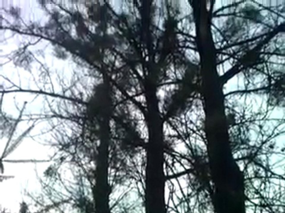 Moja okolica milanowek