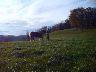 Début du stick to me et travail sur le cercle Nanou.