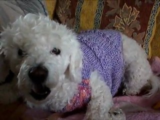 ŞANTİCAN ŞARKI SÖYLERSE _)