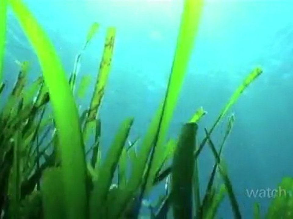 Travel Guide: Ibiza, Spain