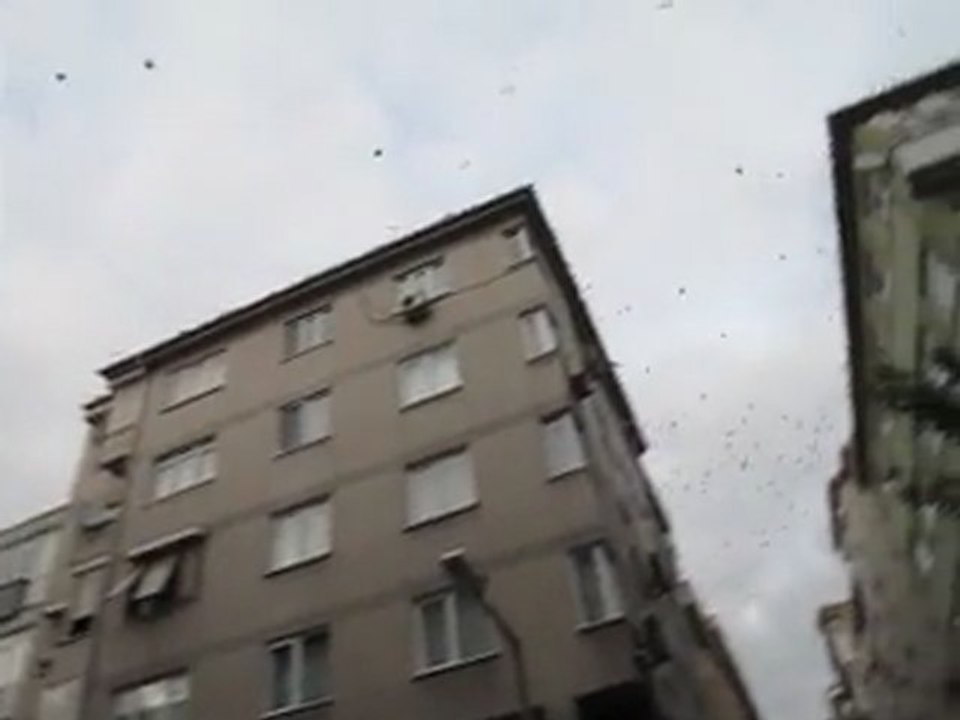 fatih-kuslar