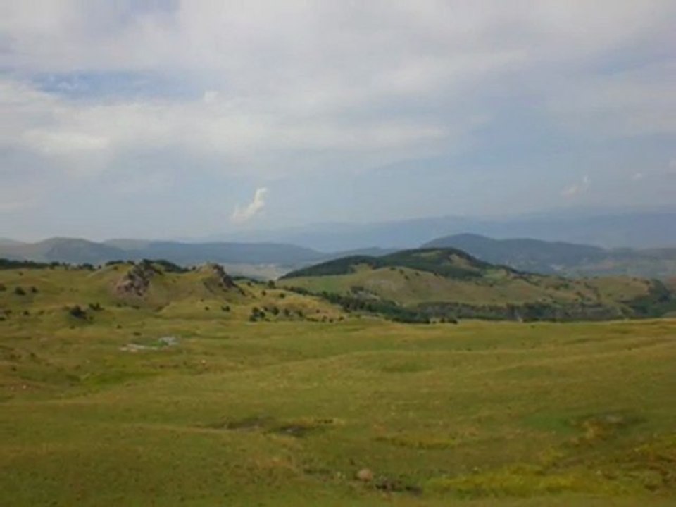 KOYUM