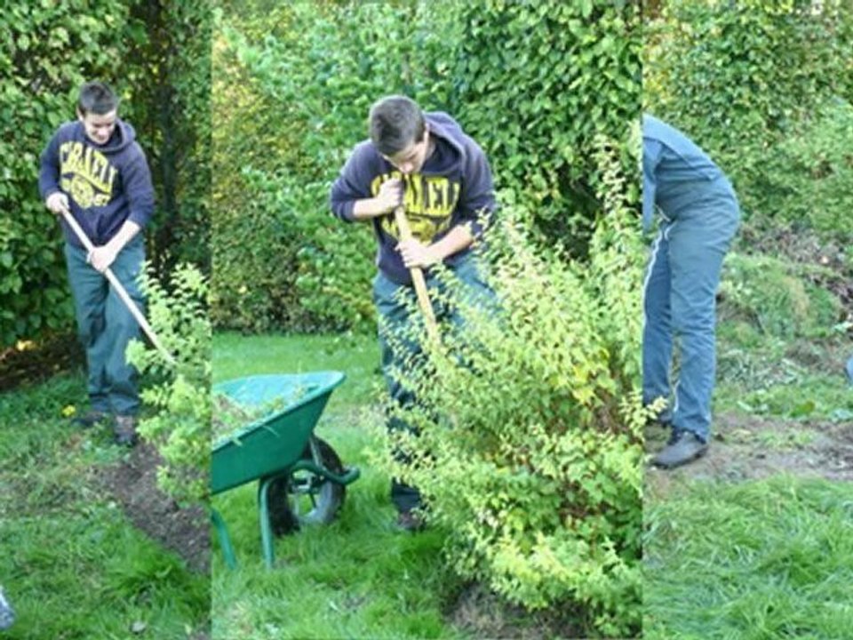 Chantier École au Château de Saint Gabriel-Brécy