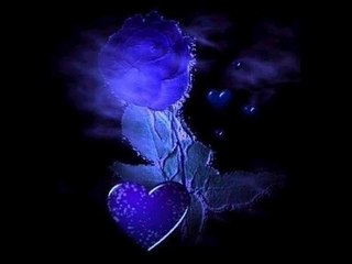 ELİF REYYA NAZ-NEVİN KOÇOĞLU     KRAL SUYU