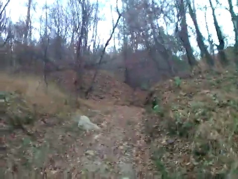 WP_20111119_140333Z