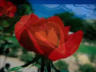 Bendeniz - Biri Var - **Güven**